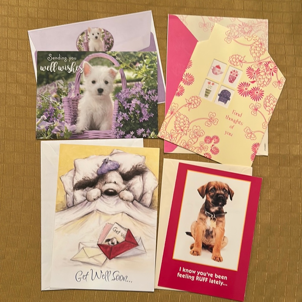 Assorted Get Well / Thinking of You / Sympathy / Blank / Anniversary c…
